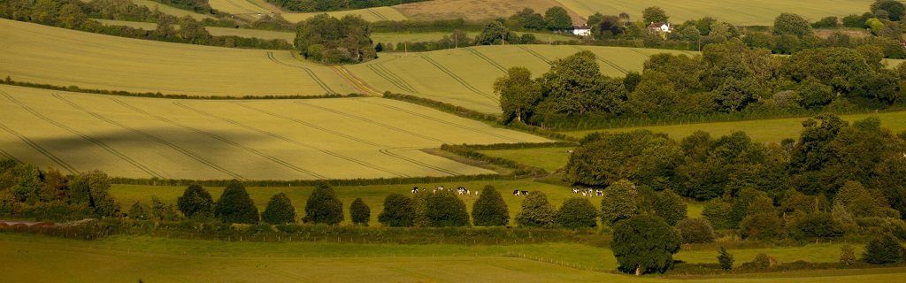 New study highlights that UK Farmers want to establish more sustainable practices.