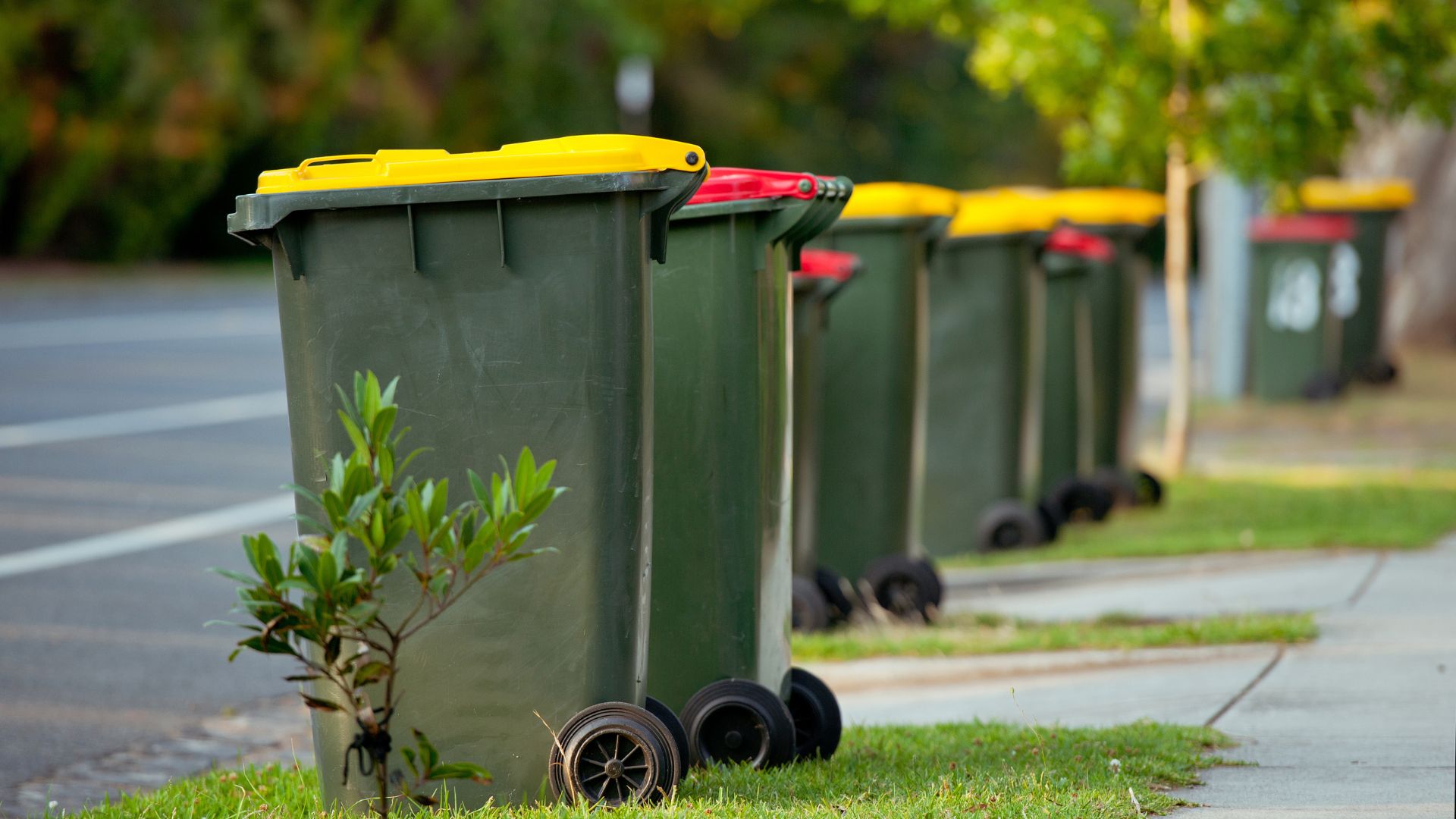 Recycling bin stands outdoor. Australia, Melbourne.
