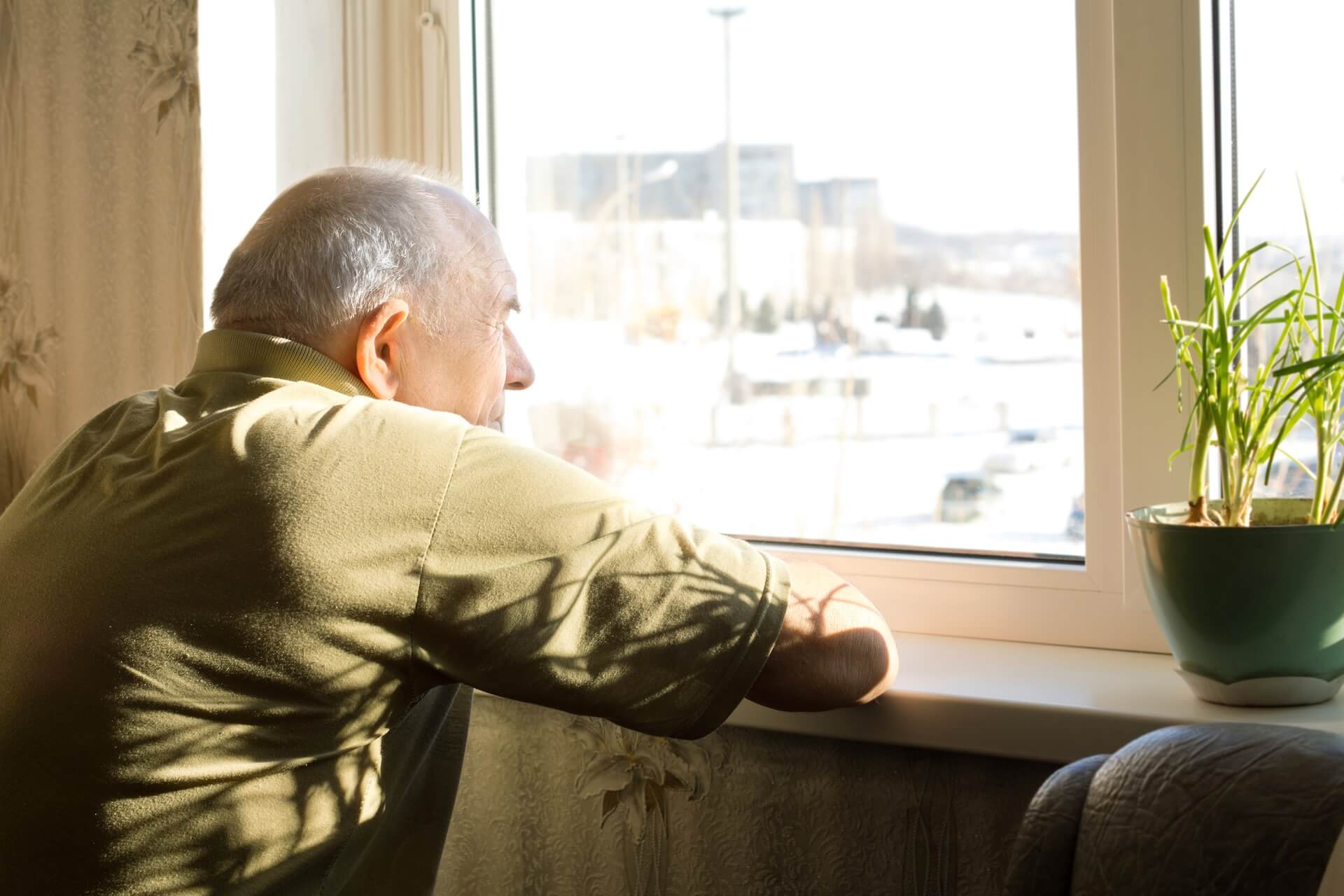 An older man looks out a sunlit apartment window beside a potted plant.