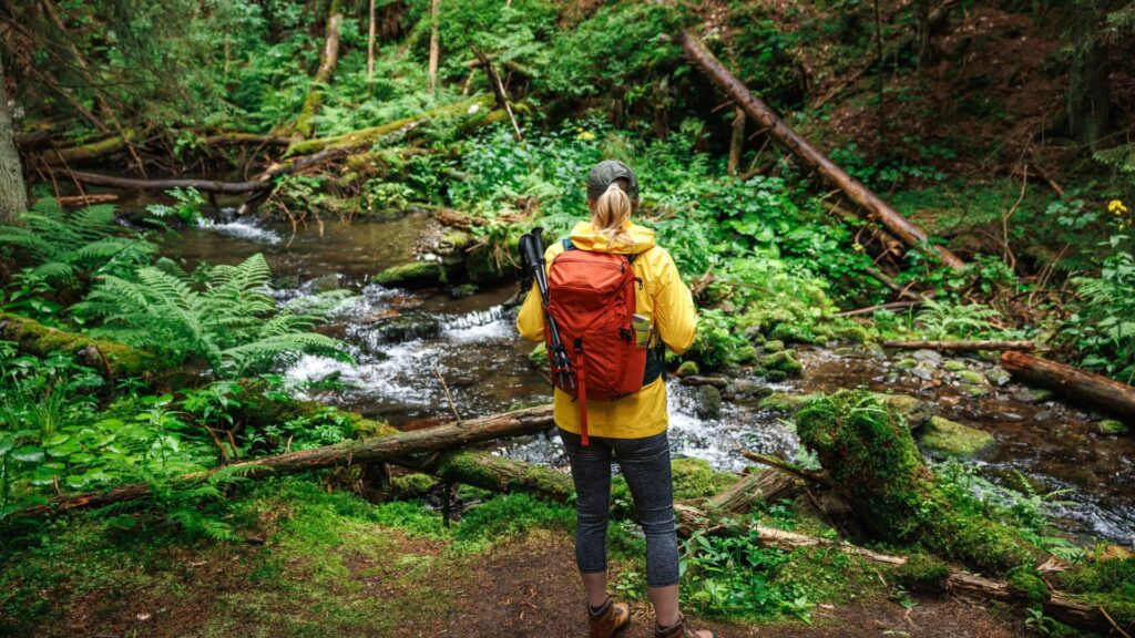 Hike along stream in forest. Woman with backpack and yellow jacket hiking in wilderness