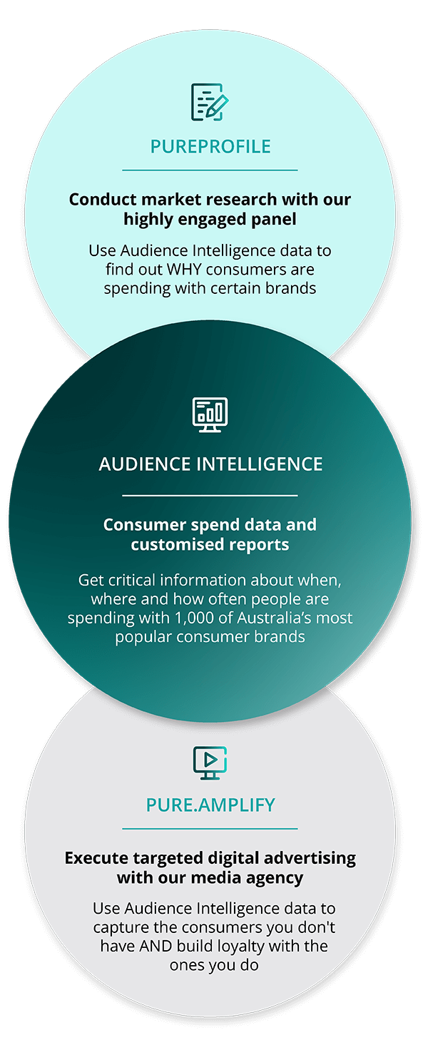 Audience Intelligence Top 1,000 brands Pureprofile