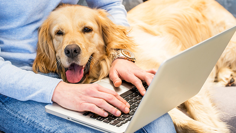 Online retail site PetCulture launches first campaign