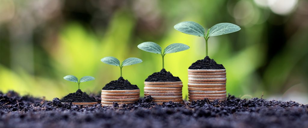 Coin plants for financial growth