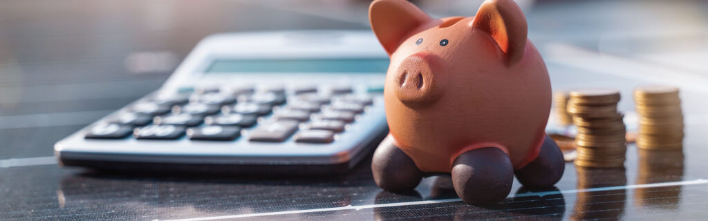 Saving habits of spanish and dutch households