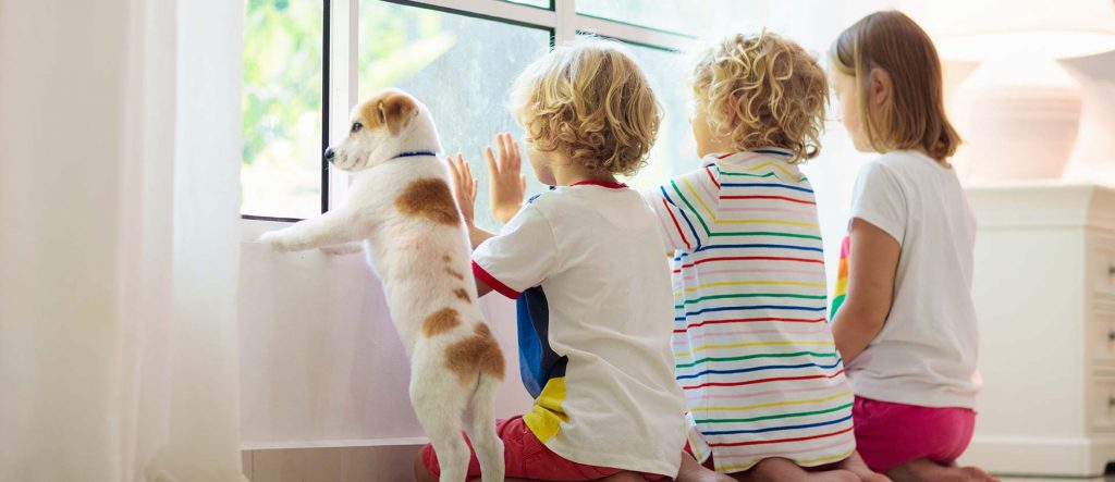 Kids looking at the window