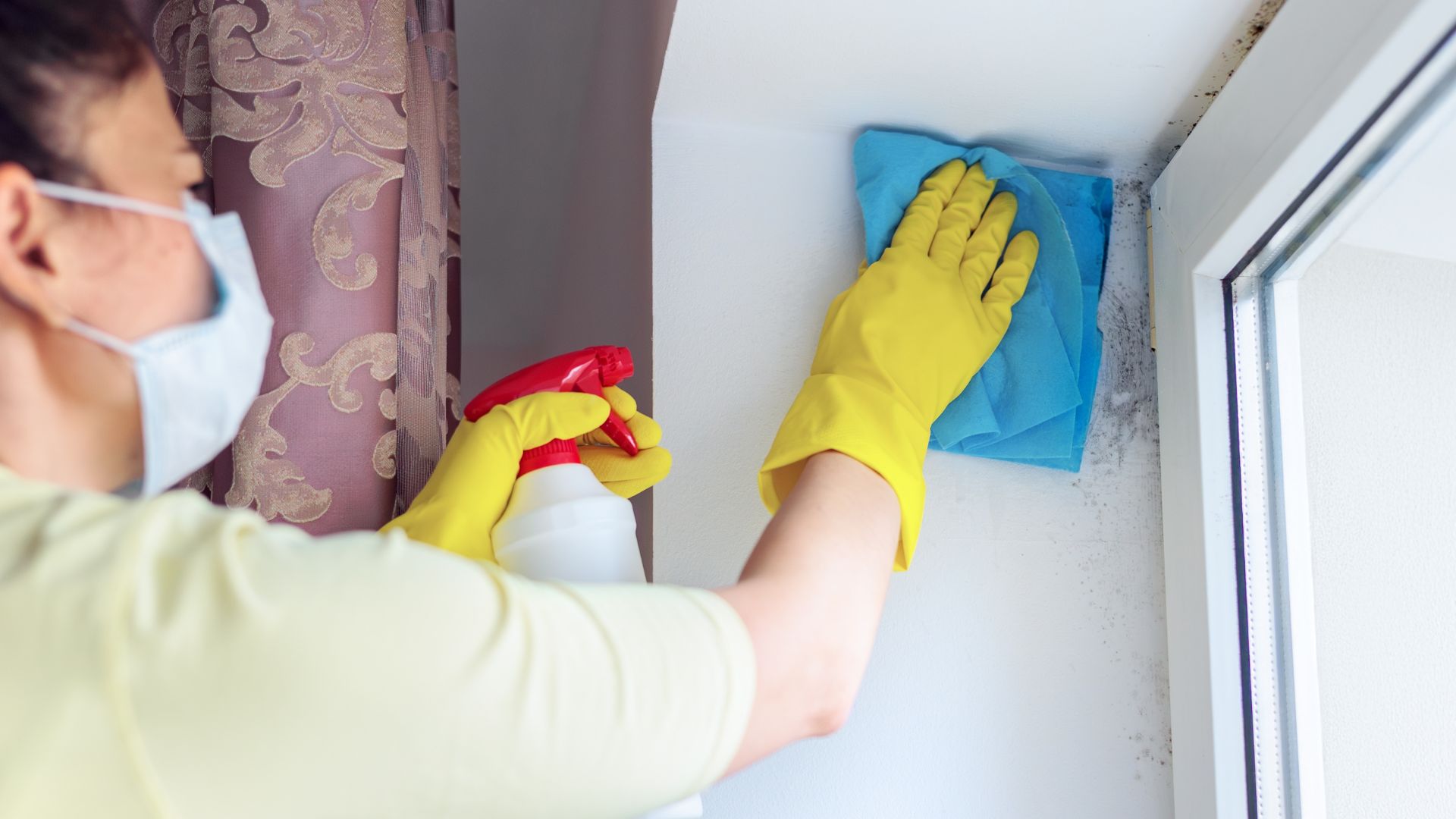 Woman Cleaning Mold on Wall near Window